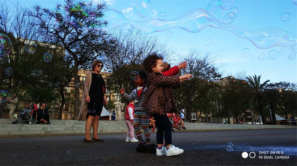 Original Xiaomi Mi6 Mi 6 Mobile phone 6GB RAM 64GB ROM Snapdragon 835 Octa Core (2)