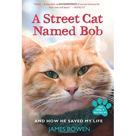 A Street Cat Named Bob: And How He Saved My Life